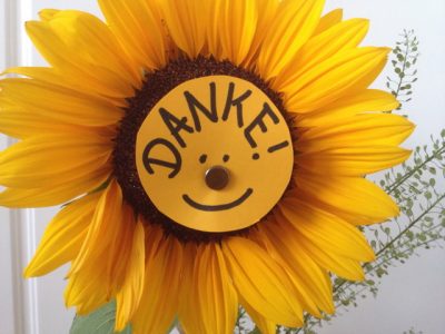 Danke-Sonnenblume