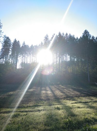 Wald2